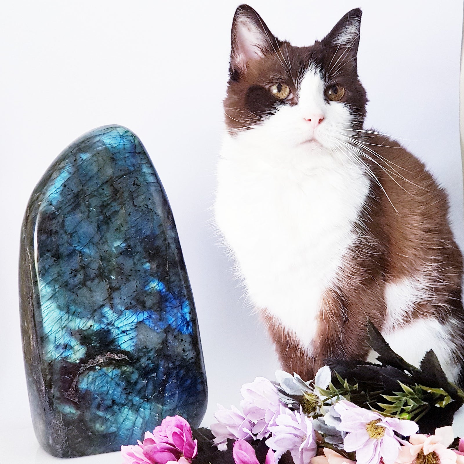 Sale and runout items