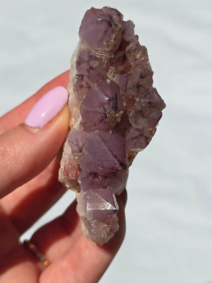 Amethyst cluster