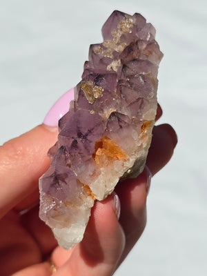 Amethyst cluster