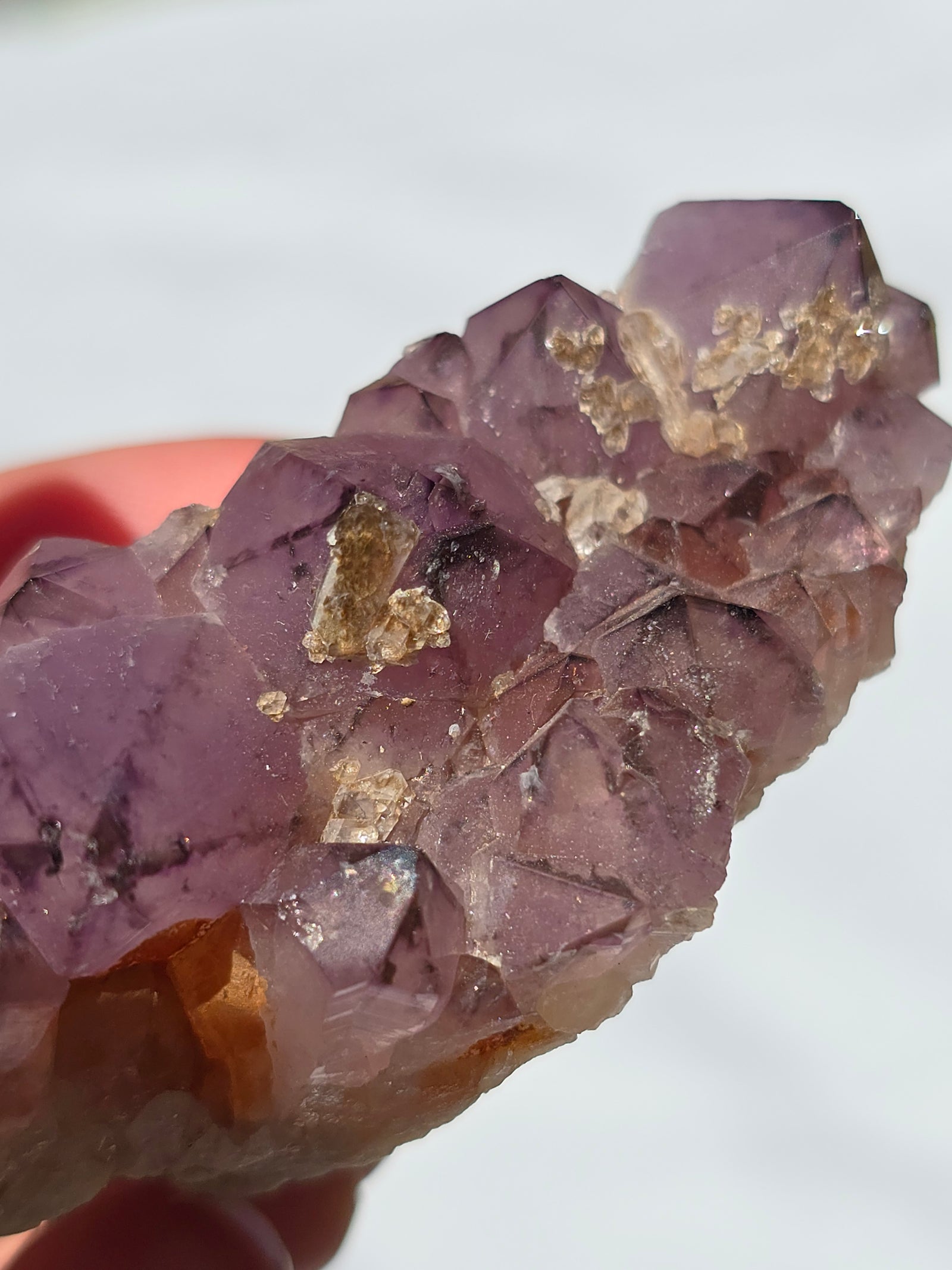 Amethyst cluster
