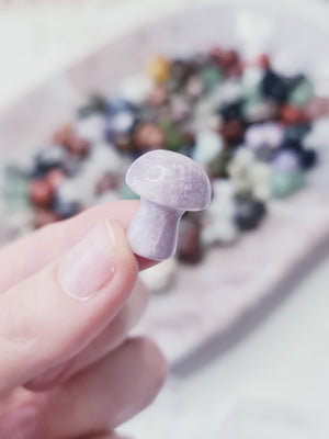 Mixed stone Mini Mushroom