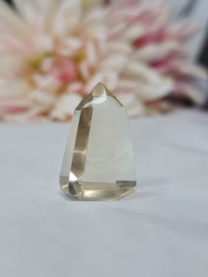 Natural Citrine Mini Point #2