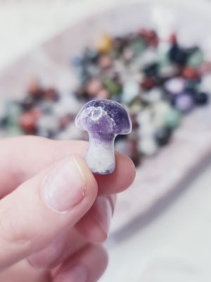 Mixed stone Mini Mushroom