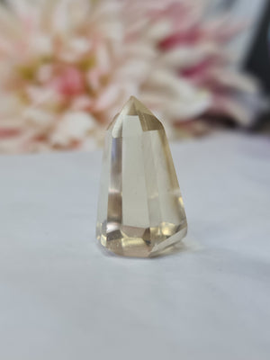 Natural Citrine Mini Point #2
