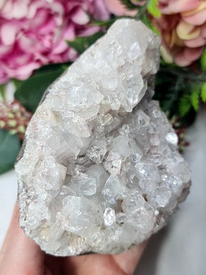 Apophylite Cluster