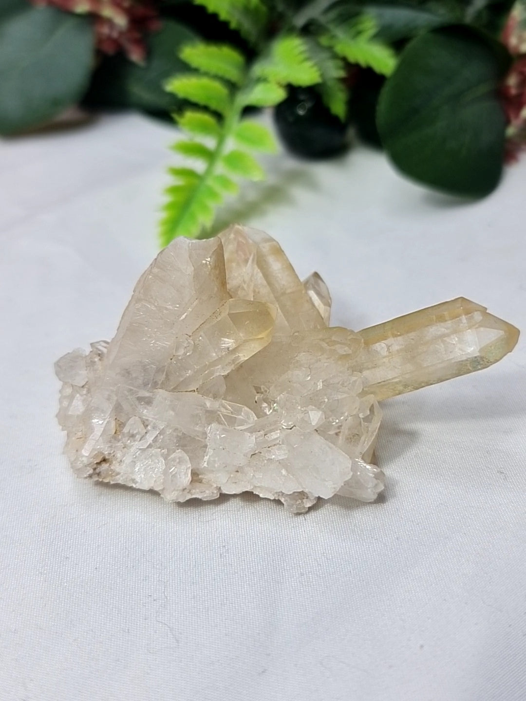 Golden Healer Cluster