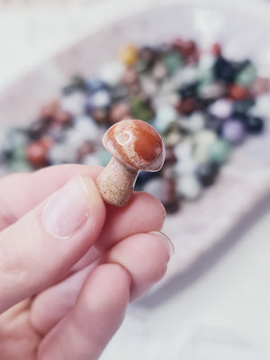 Mixed stone Mini Mushroom