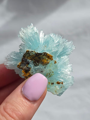 Blue Aragonite Outcast