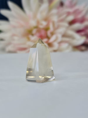 Natural Citrine Mini Point #2
