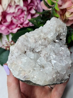 Apophylite Cluster