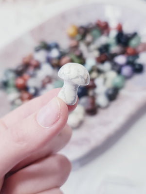 Mixed stone Mini Mushroom