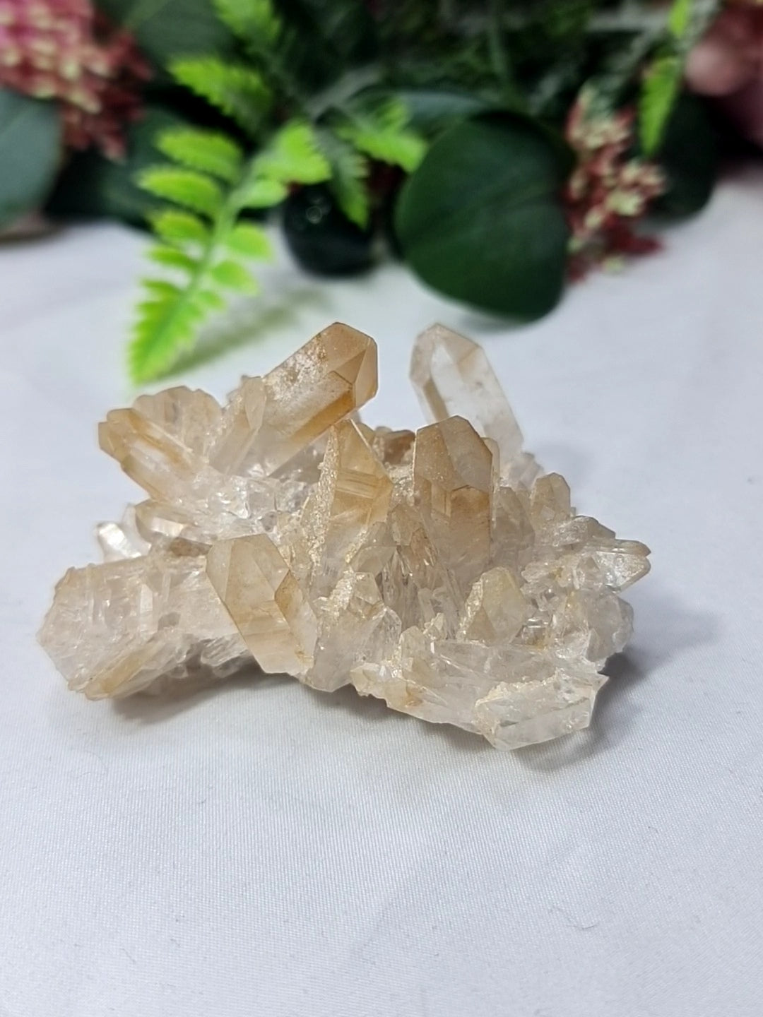 Golden Healer Cluster