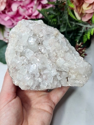 Apophylite Cluster
