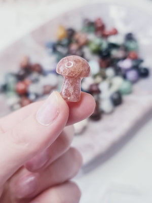 Mixed stone Mini Mushroom