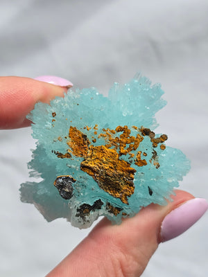 Blue Aragonite Outcast