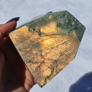 Labradorite Freeform #16