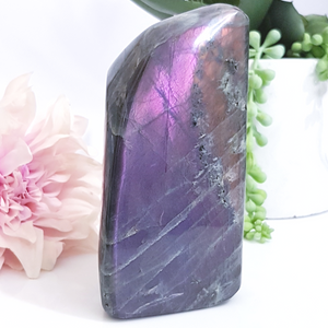 Purple & Pink Labradorite Freeform